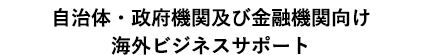 自治体・政府機関及び金融機関向け海外ビジネスサポート